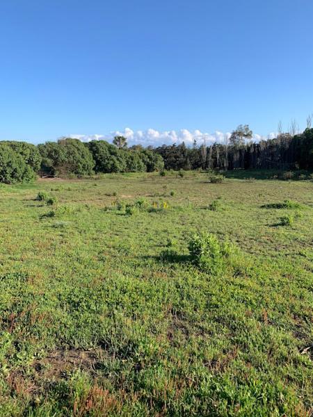 Finca Dos Vientos طريفة المظهر الخارجي الصورة